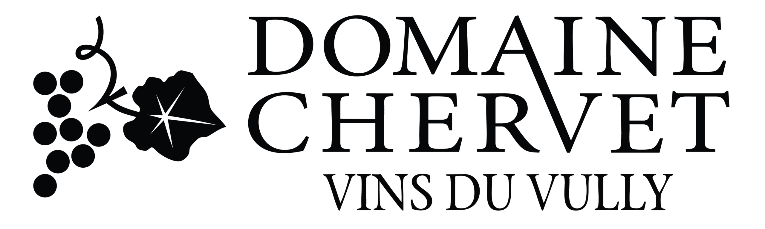 LOGO DOMAINE CHERVET NOIR