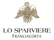 LoSparviere Logo