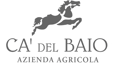 cadelbaio logo