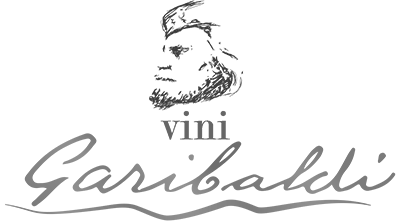 logovinigaribaldi