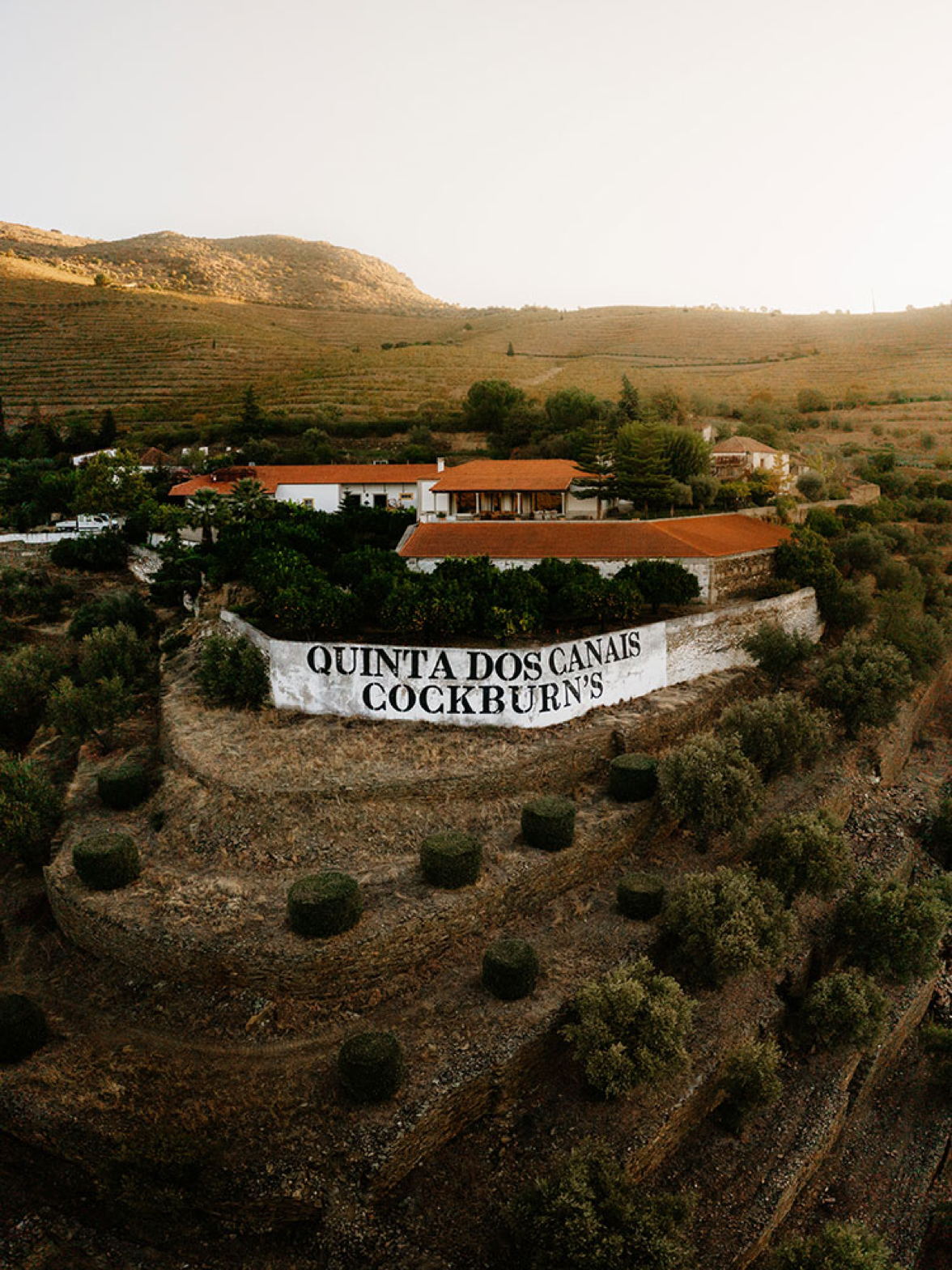 quinta dos canais vintage port img background Kopie